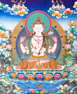 Tara Blanca